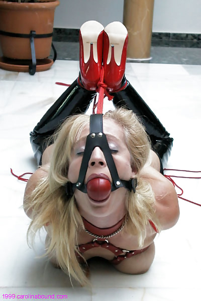 Favorite Bondage #22904403