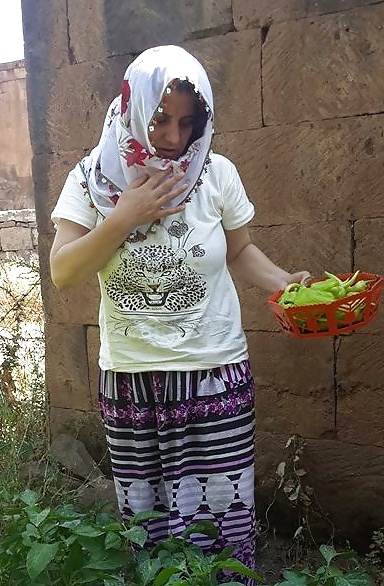 Turbanli turchi hijab arabi
 #31000891