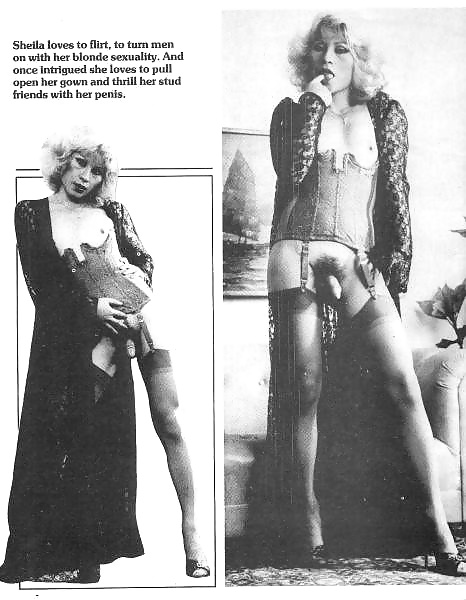 シーメールの世界 3
 #32443300