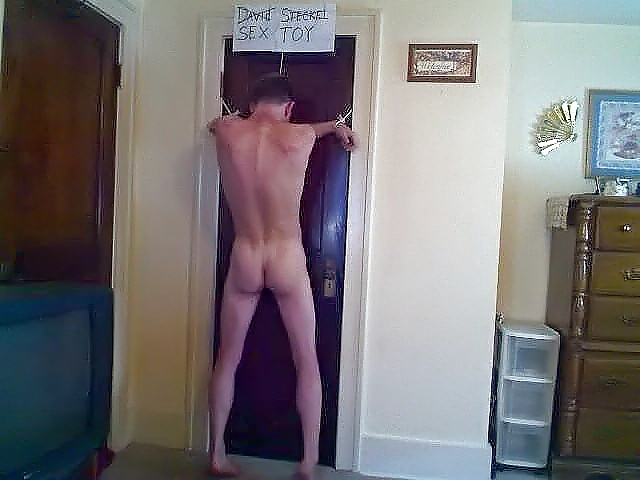 David steckel nudo
 #25174453