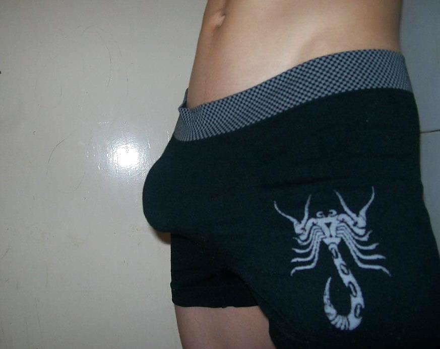 En boxer,s 
 #37815594