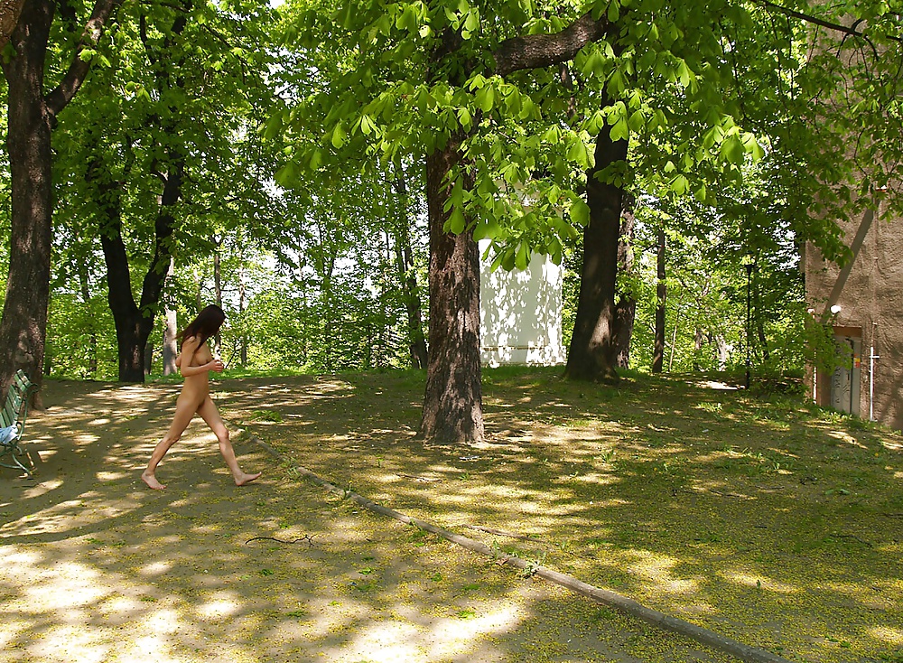 Wife walks naked in a public park #27038213