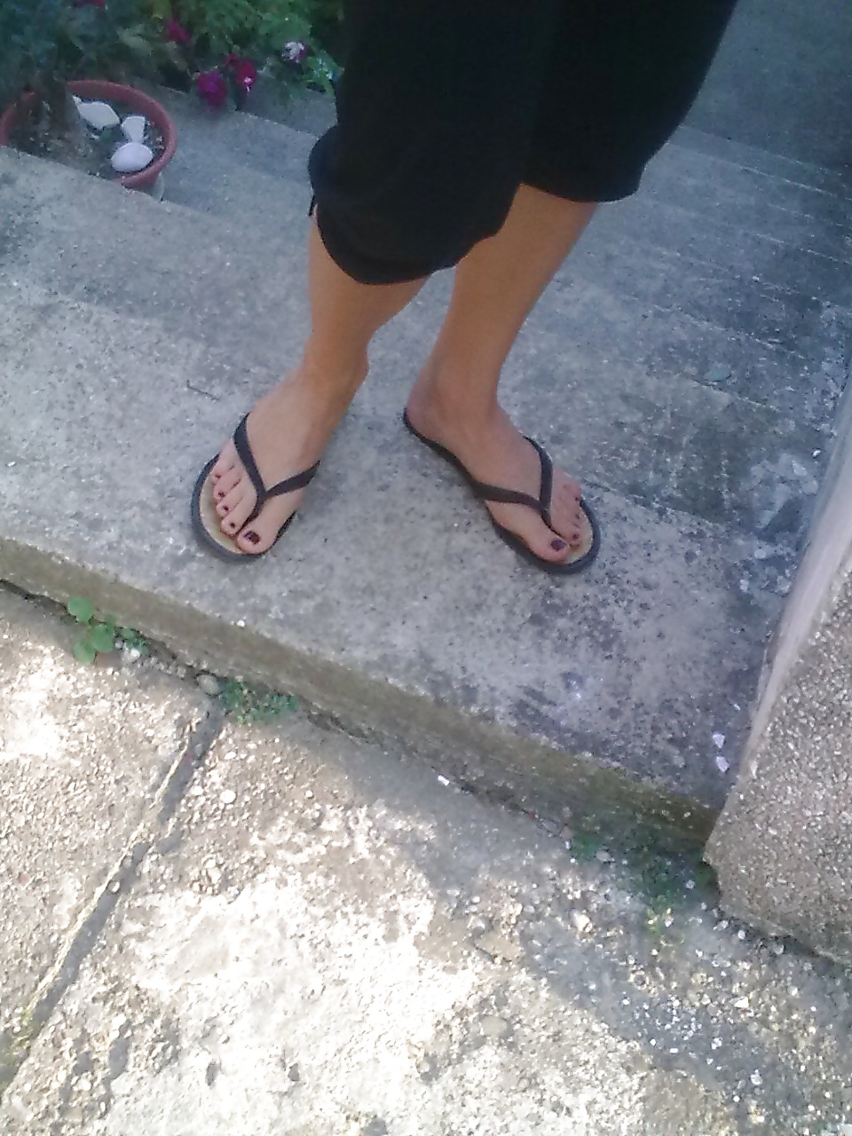 Flip o flop
 #35317107