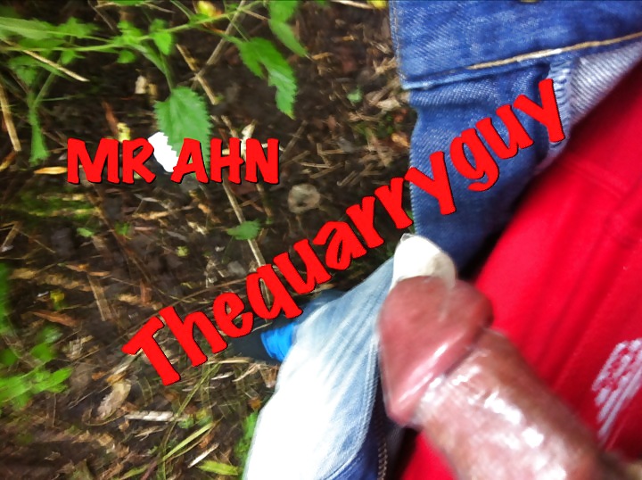 Forest fun #34569407