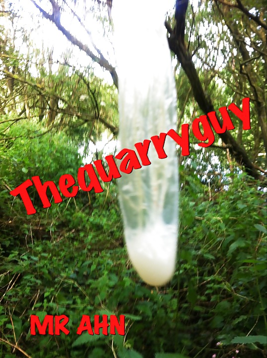 Forest fun #34569410