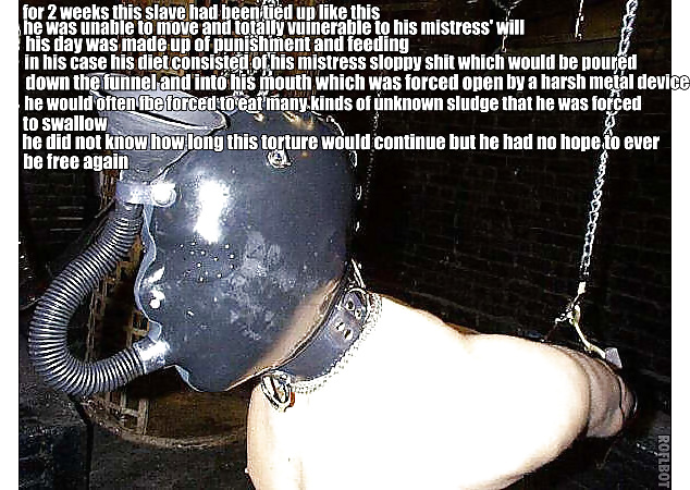 Captions #29524794