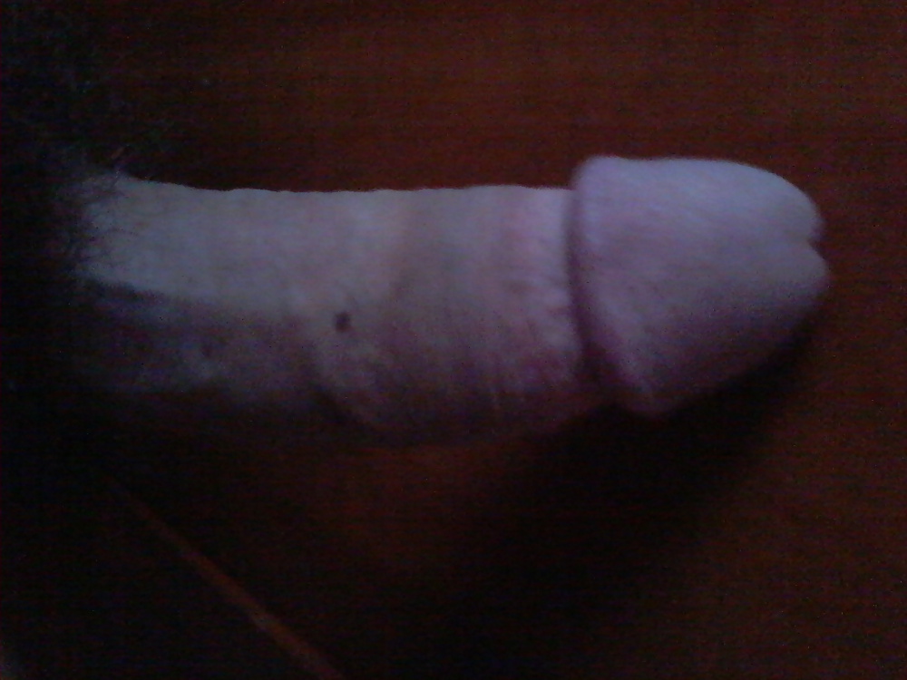 Moj kutas i kilka suk #30705540