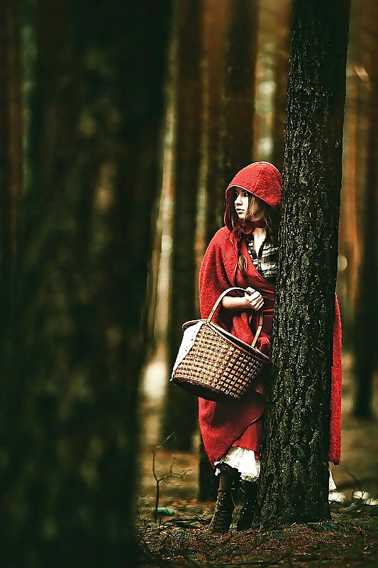 Little Red Riding Hood #25558498