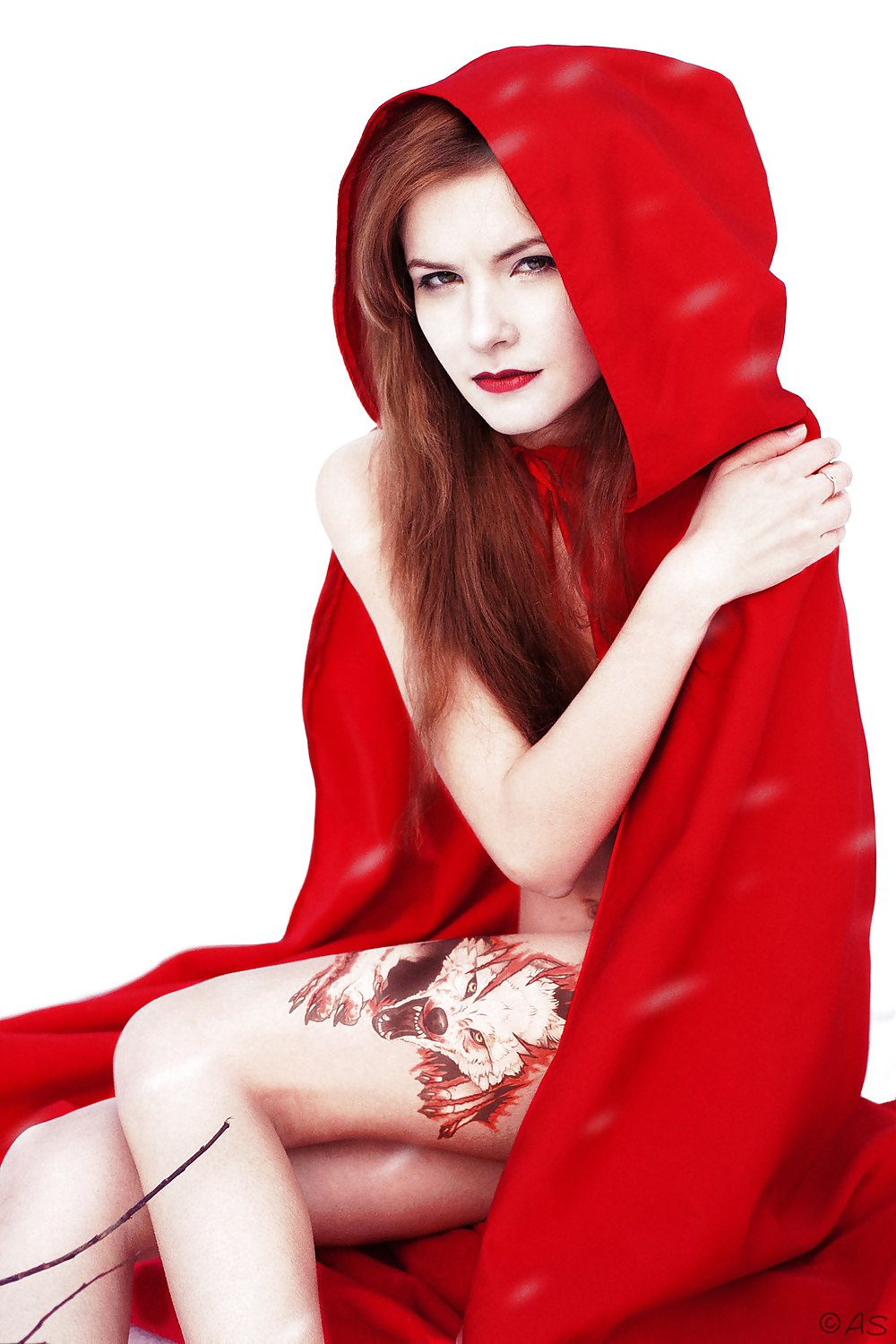 Little Red Riding Hood #25558744