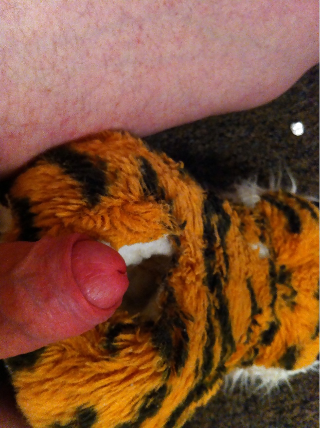 Met tijger #35229618