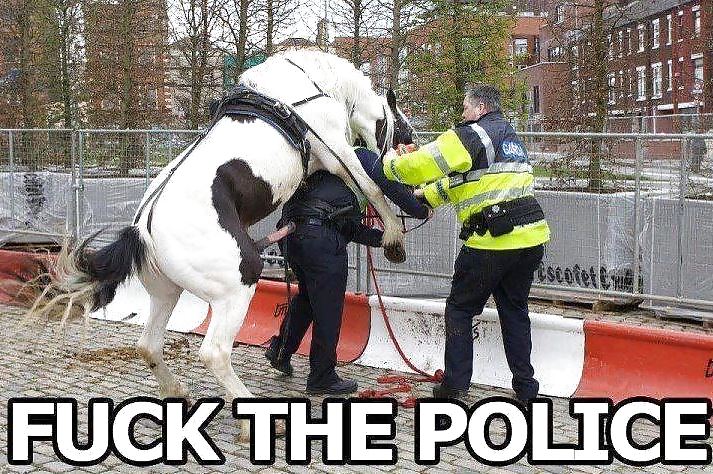 Random crap #23655714