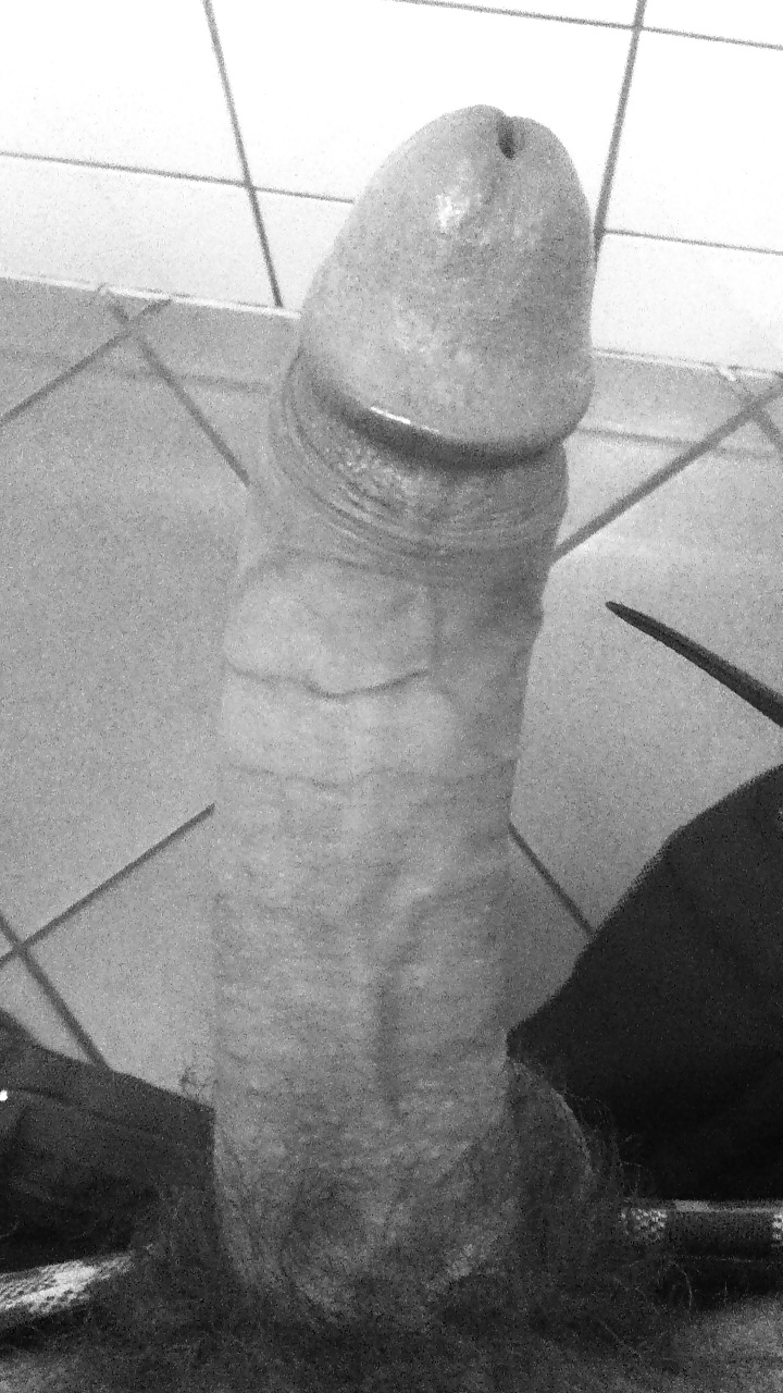 Vintage cock #26737251