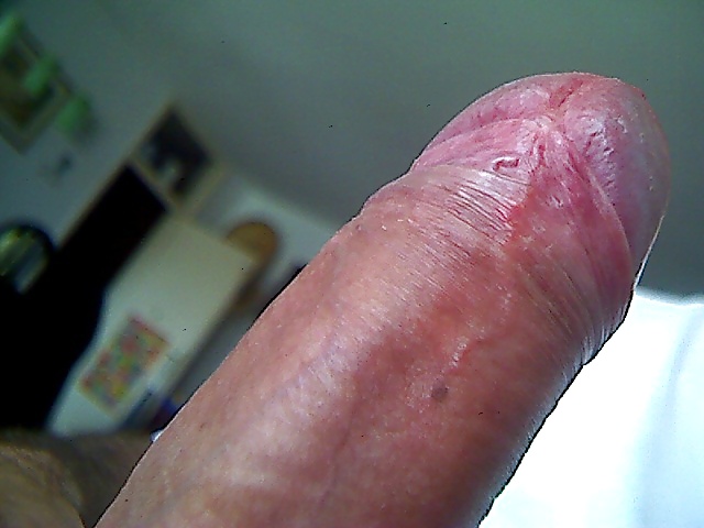 クロースアップの写真
 #34531417