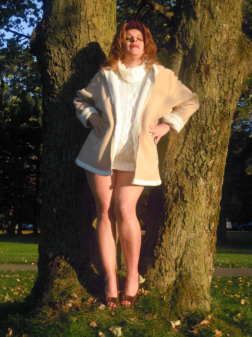 Trinität 24 #36744516