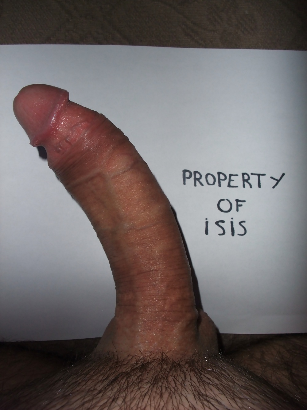 Contribution to isis big dick contest number 3 #34825855