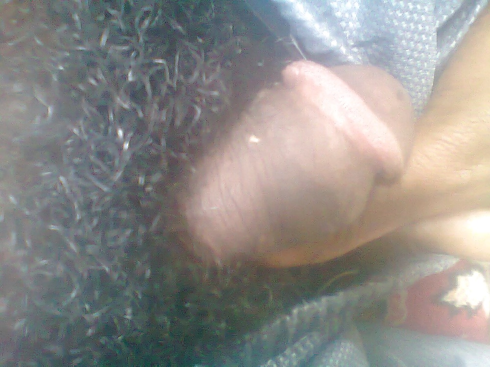 その他の写真
 #29419543