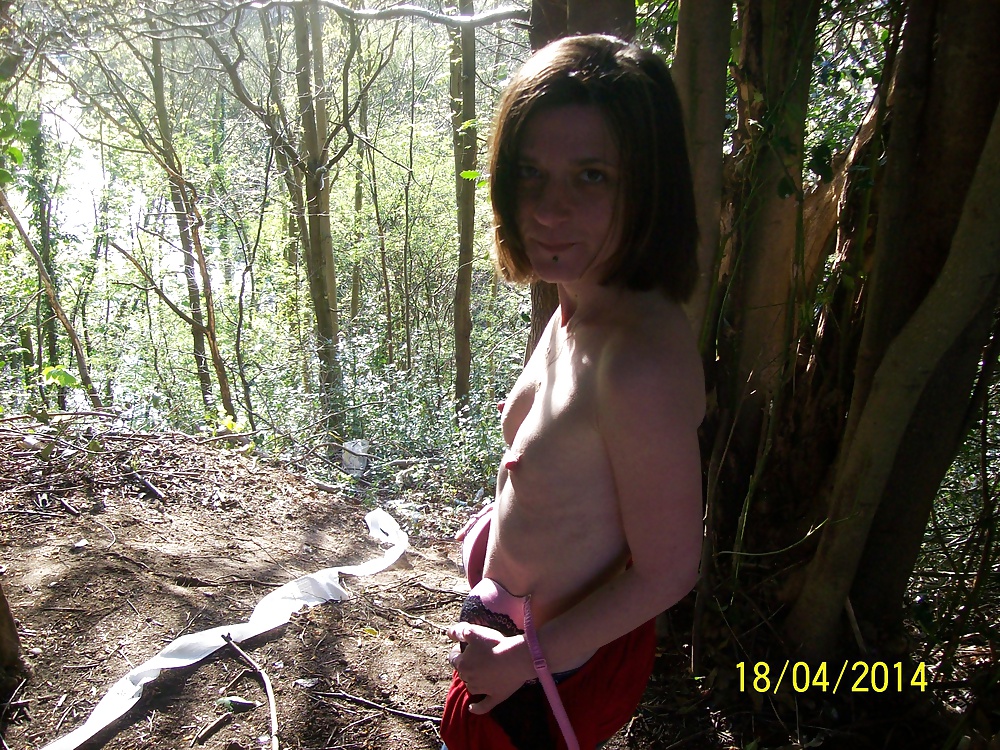 Sammy in the woods #28336545