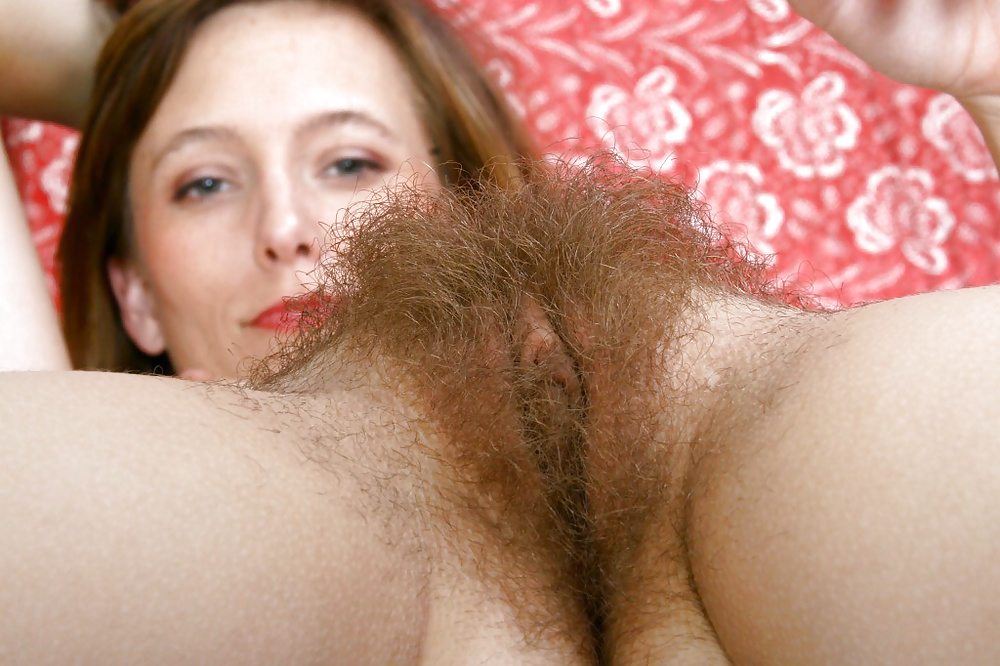 Huge Hairy Bush #27187553
