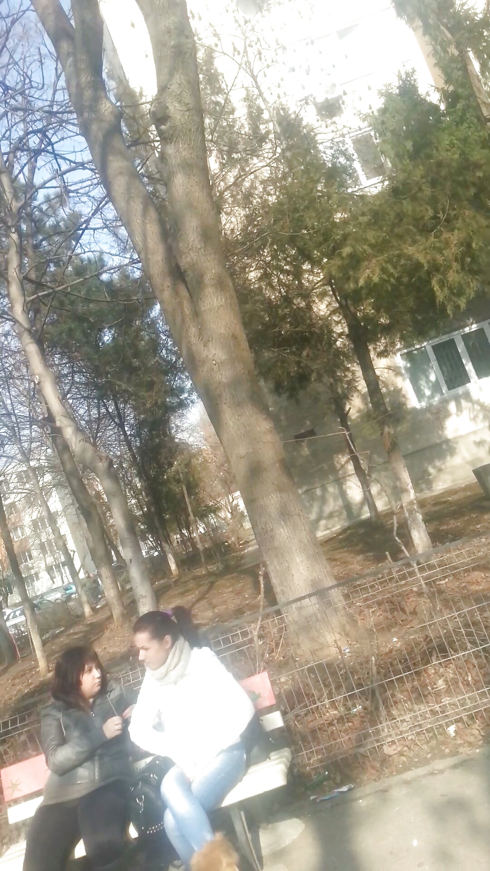 セクシーなティーンズ・ロマニアン
 #25434344