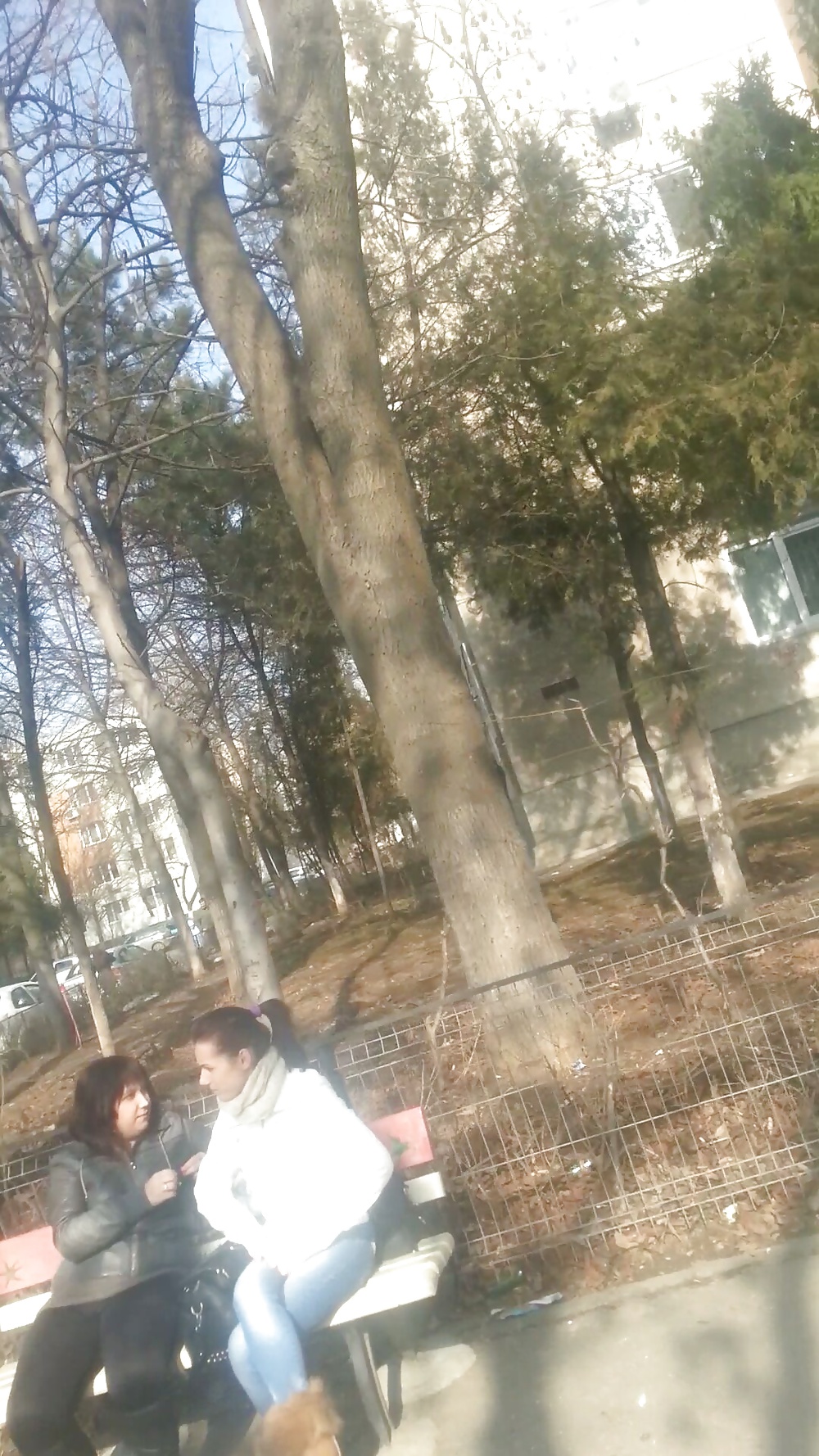 セクシーなティーンズ・ロマニアン
 #25434353