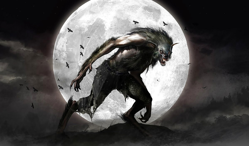 Belle et Bete #25147614