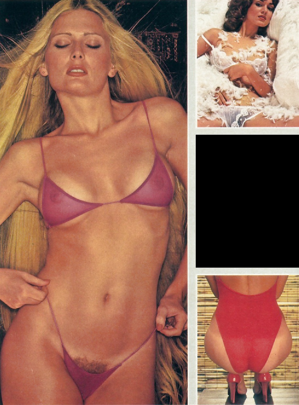 Revista Playboy lo mejor de 1978 colección de lujo
 #40221632