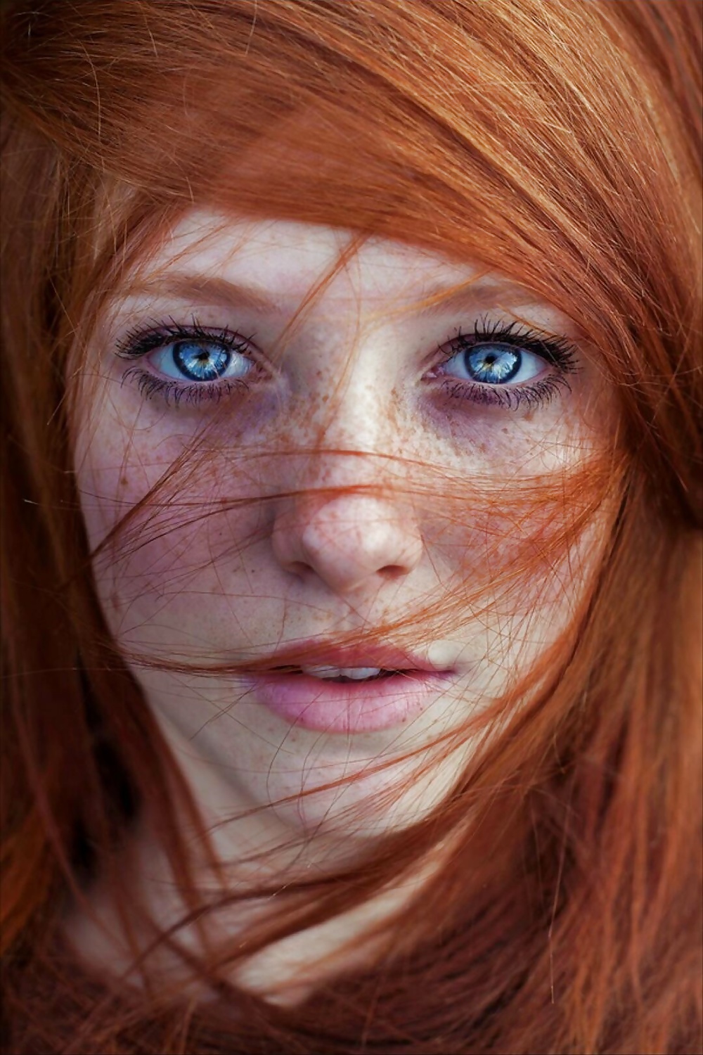 Red Head #39934601