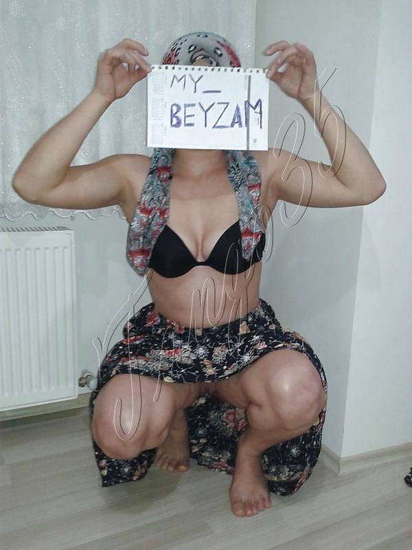 Turkish Enturbanné Chienne Beyza #38642344