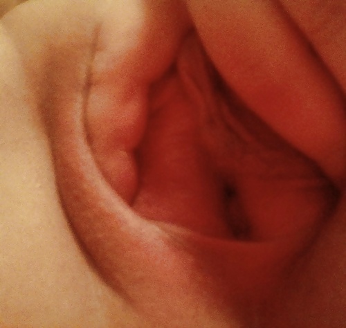 Todo tipo de coños 3
 #31539752