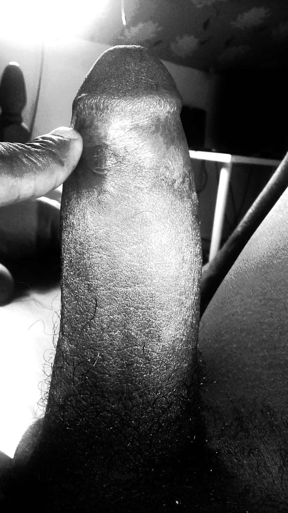 Morning glory 
 #33034572