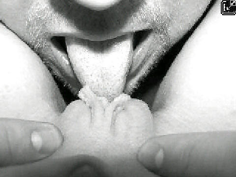 S3xxx 2
 #37453435