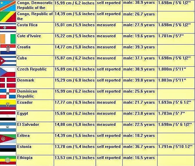 Official World Penis Average Size  #26499856