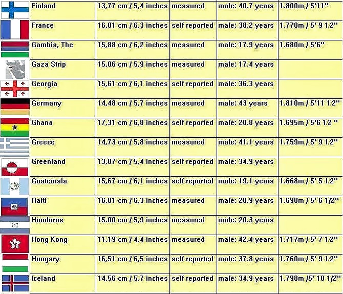 Official World Penis Average Size  #26499862