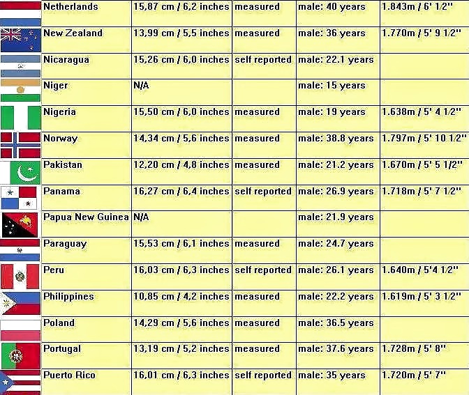 Official World Penis Average Size  #26499873