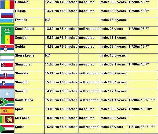 Official World Penis Average Size  #26499879