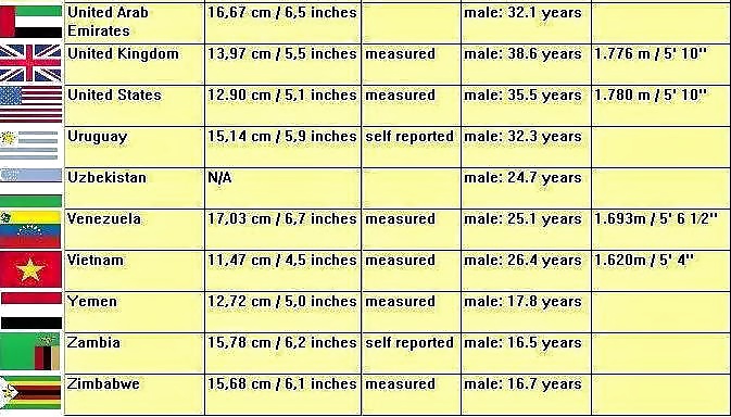 Official World Penis Average Size  #26499883