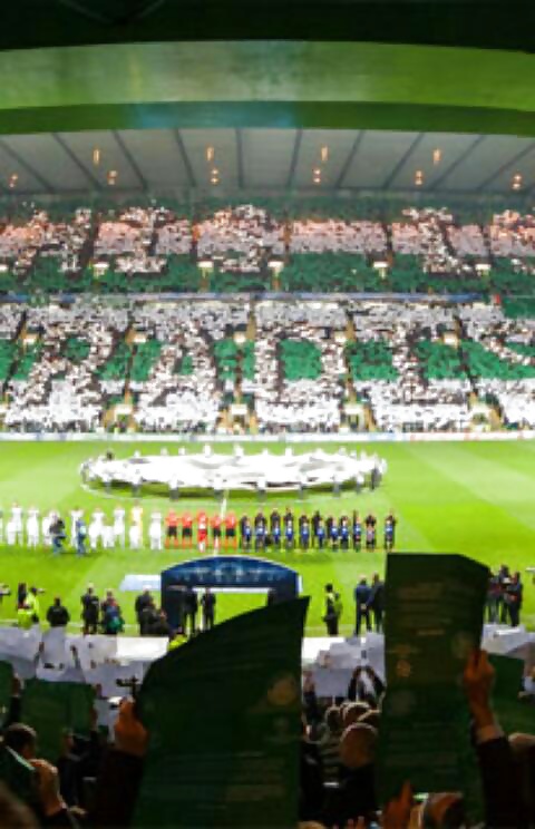 パラダイス
 #31795783