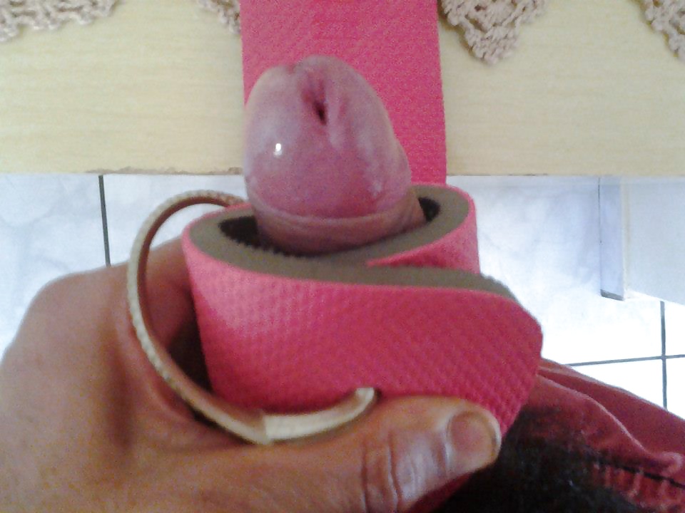 ハヴァイアナ
 #31190892