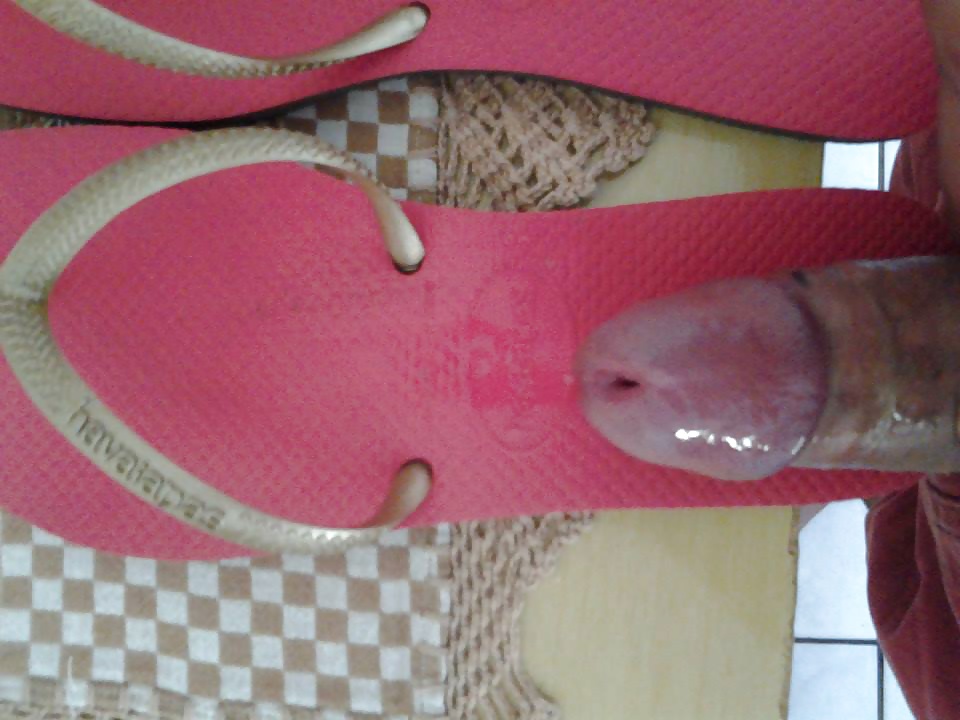 ハヴァイアナ
 #31190902