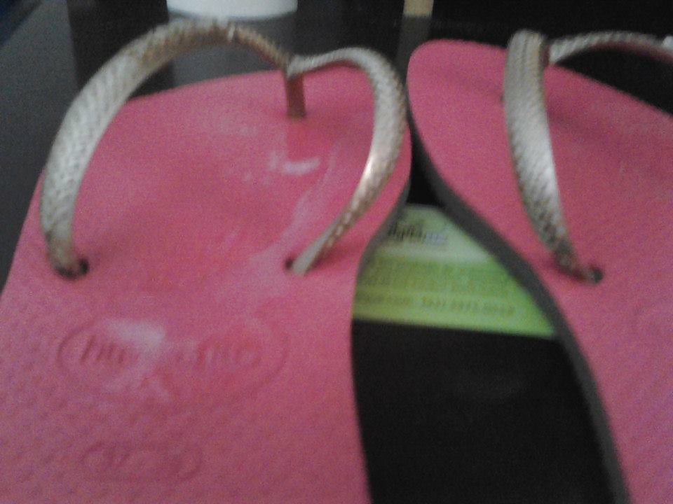 ハヴァイアナ
 #31190904