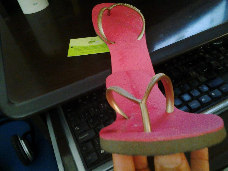 ハヴァイアナ
 #31190908