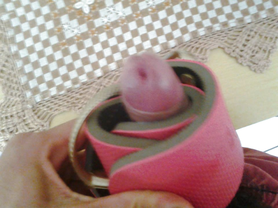 ハヴァイアナ
 #31190912