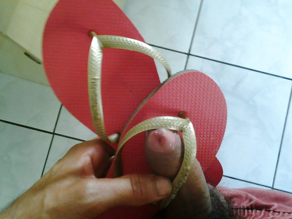 ハヴァイアナ
 #31190918