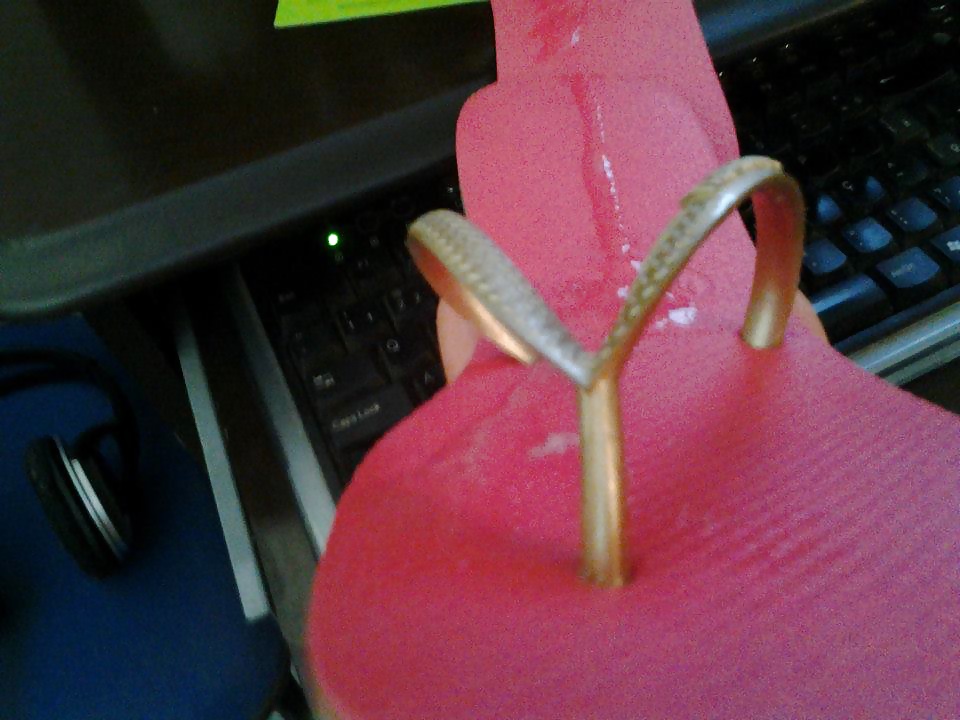 ハヴァイアナ
 #31190926