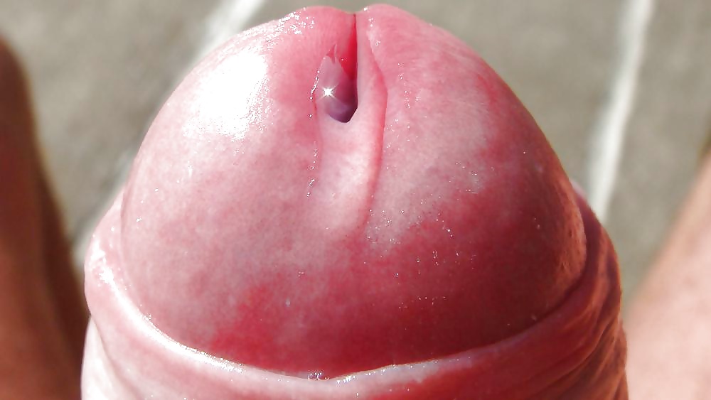 私のプロフィール iv
 #28294154