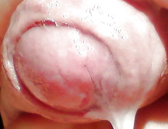 私のお気に入り
 #33605367