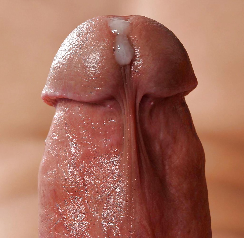 Close up - nah dran #38595134