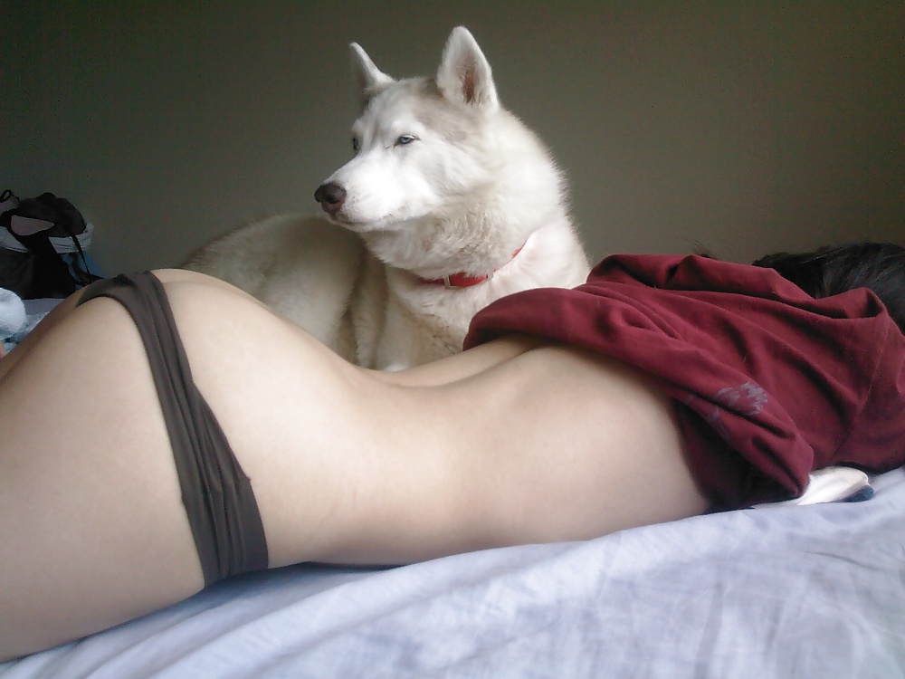 Sexy asian girl with white husky #27031491