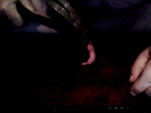 Tons of my self cbt #28264522