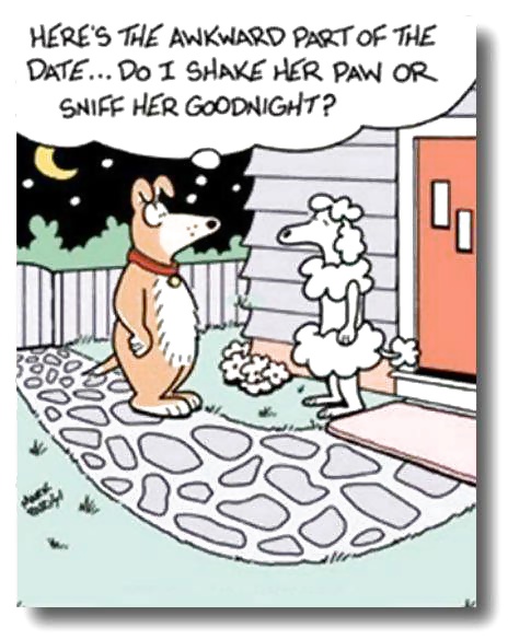 A few more funnies  #27986580